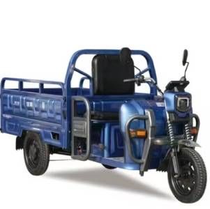 Electric Cargo Bike