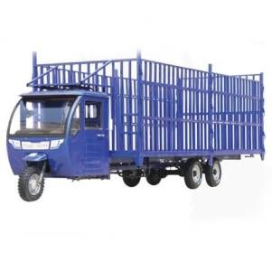 Tricycle Truck