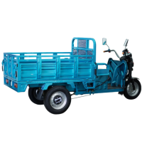 Cheap E-Trikes 3 Wheel Cargo Electric Tricycles Motorcycle Three Wheel Adult