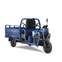2025 New High Stability Powerful Electric Cargo Bike Farm Use Three Wheeler Electric Scooter Motorcycle