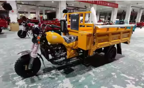 Motorcycle Electric Cargo Tricycle